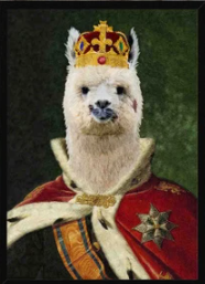 Reigning Champion